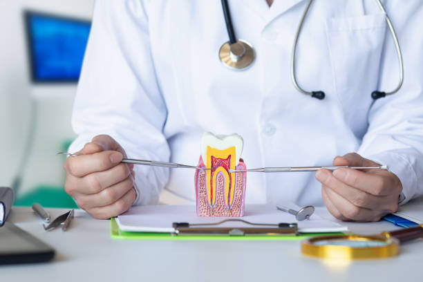 Best Emergency Dentist for Special Needs Patients in Wilkesboro, NC
